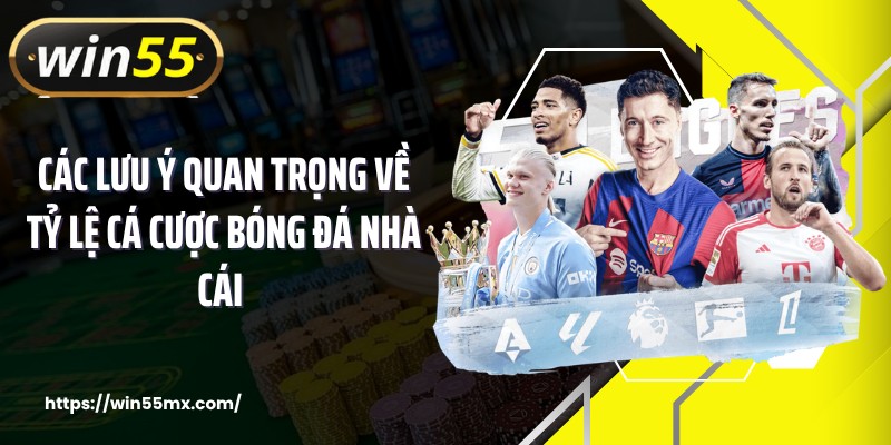 Các lưu ý quan trọng về tỷ lệ cá cược bóng đá nhà cái 